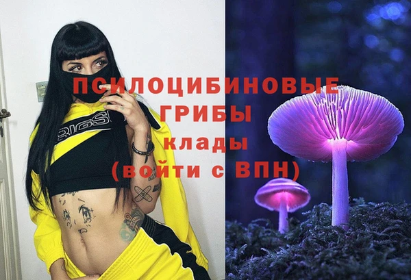 mix Арсеньев