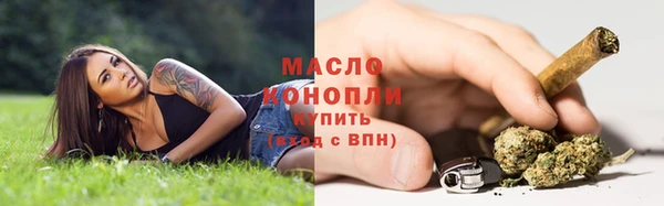 МДПВ Богородск