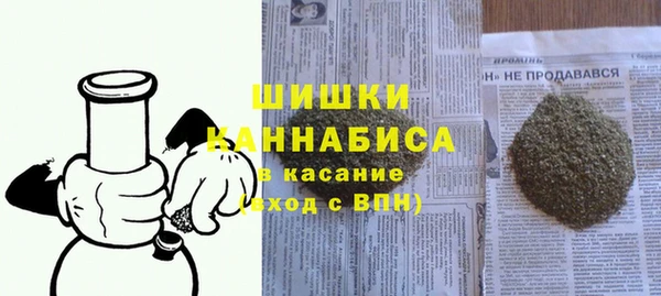 МДПВ Богородск
