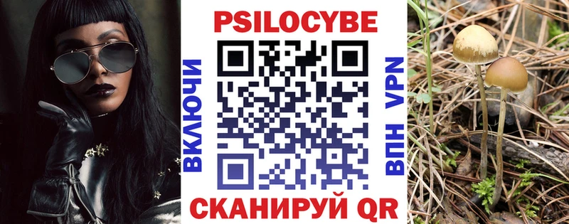 Галлюциногенные грибы GOLDEN TEACHER  где купить   Судак 
